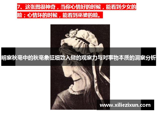 明察秋毫中的秋毫象征细致入微的观察力与对事物本质的洞察分析