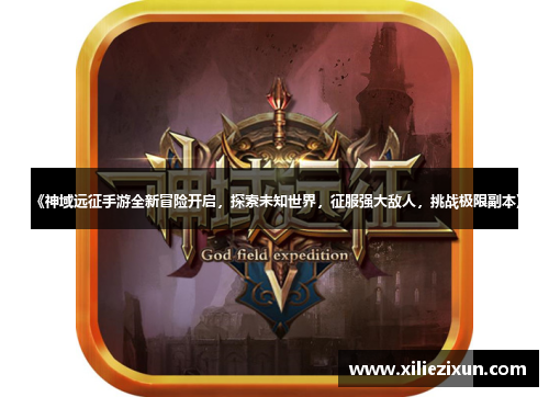 《神域远征手游全新冒险开启，探索未知世界，征服强大敌人，挑战极限副本》