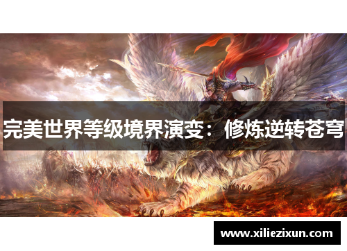 完美世界等级境界演变：修炼逆转苍穹
